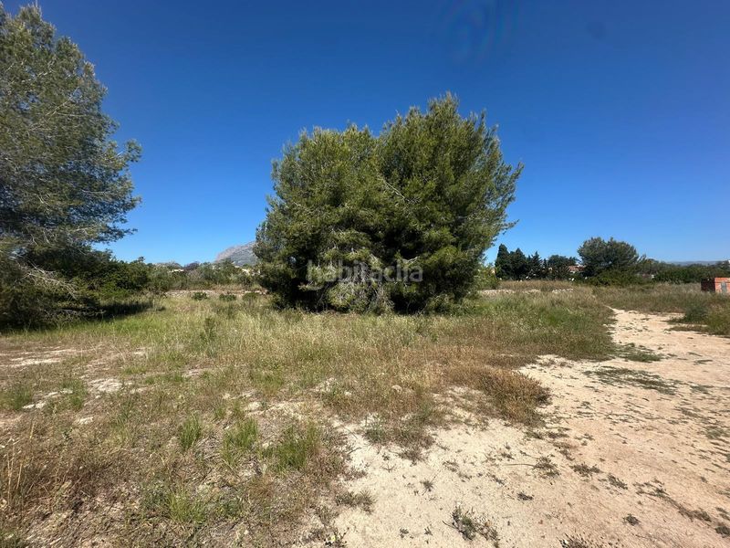 Foto c0d37559-b1af-4d02-a0e6-546fe82a2a04. Finca rústica a camí del sarandó 28 a Pueblo-Ubanizaciones Alfàs del Pi (l´)
