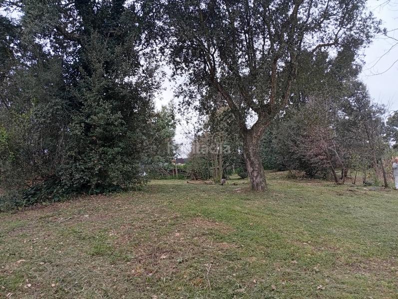 Foto 8197b1bc-771e-498e-87a3-3984e7229d20. Terreno residenziale in carrer tramuntana 13 in Vilobí d´Onyar