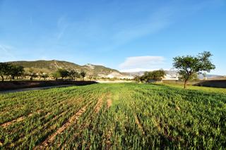 Finca rústica a Padul. Magnífico terreno rústico en el arroyo de padul