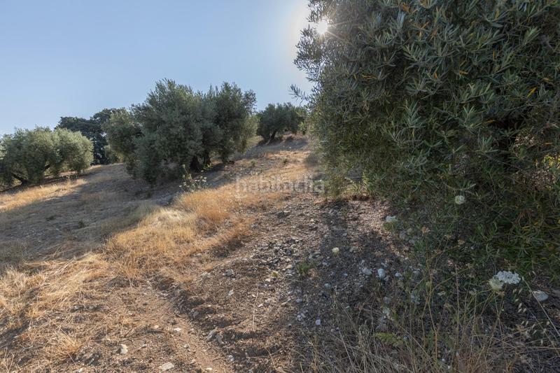 Foto f96f6414-bec9-4a34-b90b-8ea2413917e4. Finca rústica a Montefrío