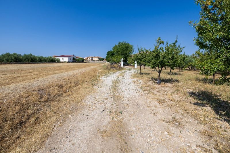 Foto 0597d8f8-0097-42ec-95d0-7fedd79ff34f. Xalet amb calefacció aparcament a Darro