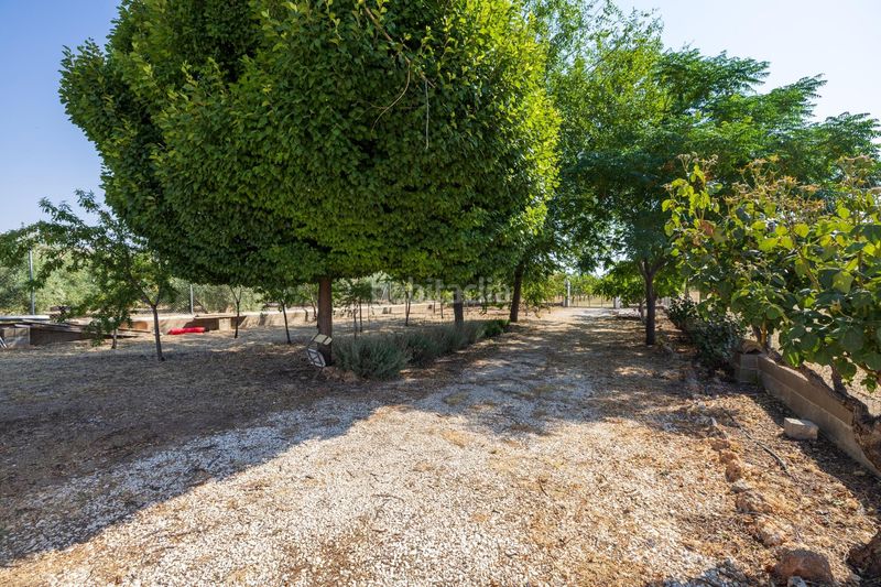 Foto c74a07eb-4220-4a97-bdee-2dfdb35fae1f. Xalet amb calefacció aparcament a Darro