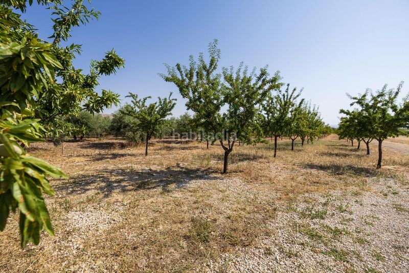 Foto ff454bc5-f79b-406c-839d-efc46c2366b7. Xalet amb calefacció aparcament a Darro