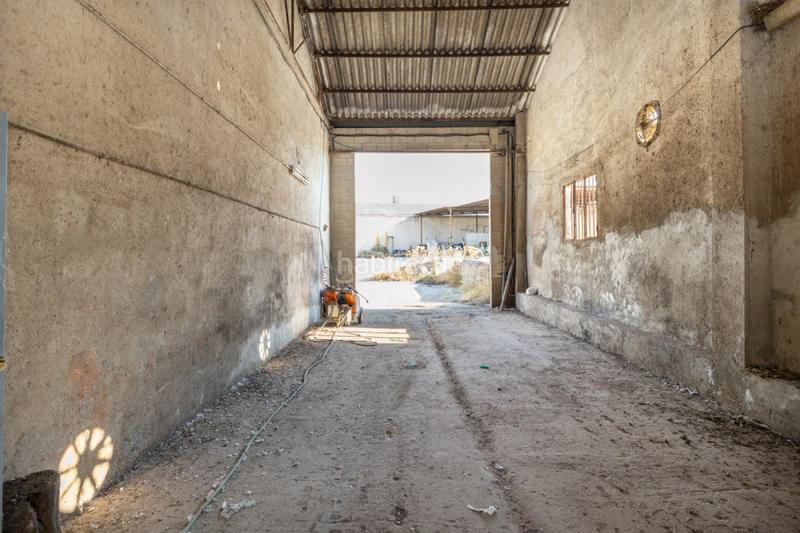 Foto 2d8a15e9-7731-4534-bc7f-a21d537cf19a. Fabrikhalle in pulianas calle duende 11 in Centro - Sagrario Granada