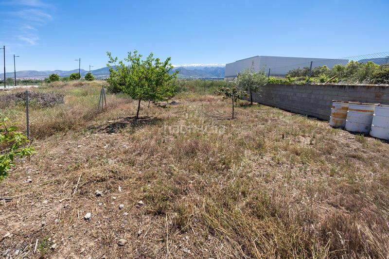 Foto 2374cea4-85f0-41eb-99b6-de99218bf82a. Terrain résidentiel dans Villa de Otura