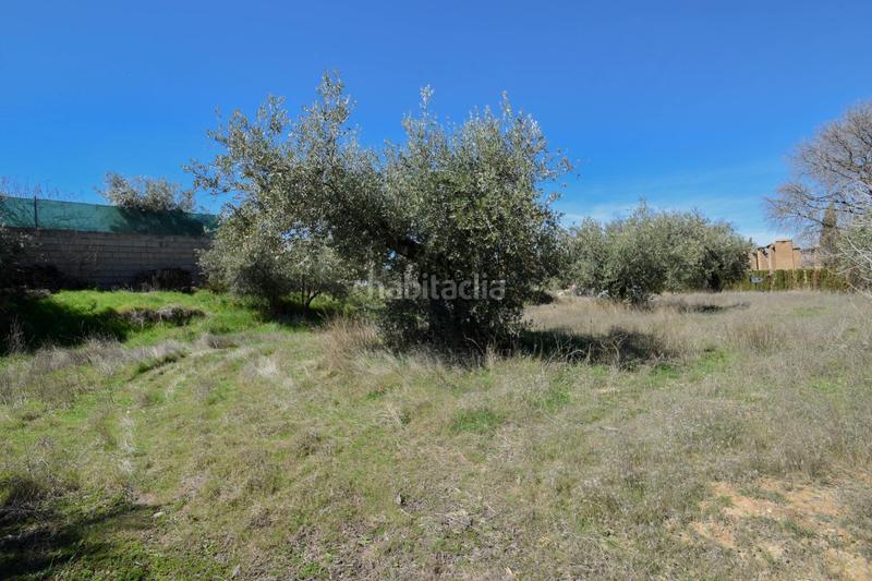 Foto 3a871d77-d4b0-4208-b758-32647c27229e. Wohngrundstück in Villa de Otura