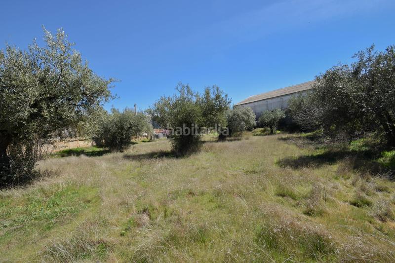 Foto 5517f06e-0c12-44a7-a6ce-ad3e97863470. Wohngrundstück in Villa de Otura