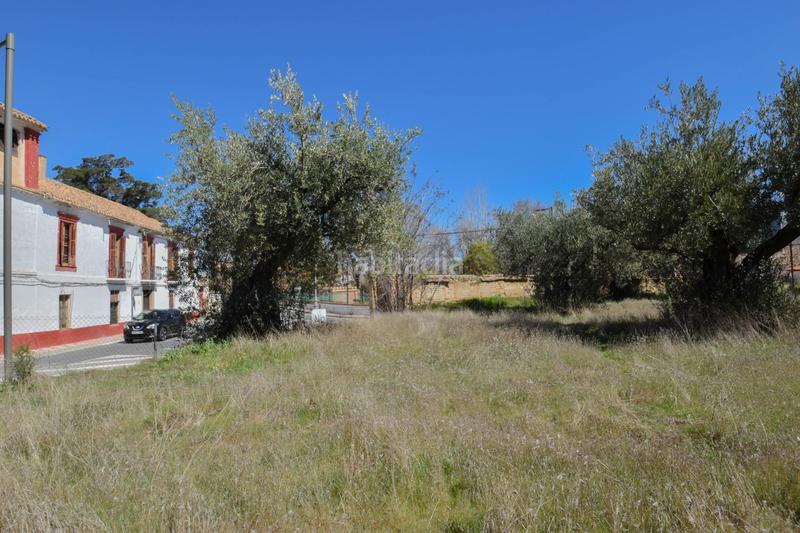 Foto 6a393b03-7c04-4586-bc29-e730edf2bfbe. Wohngrundstück in Villa de Otura