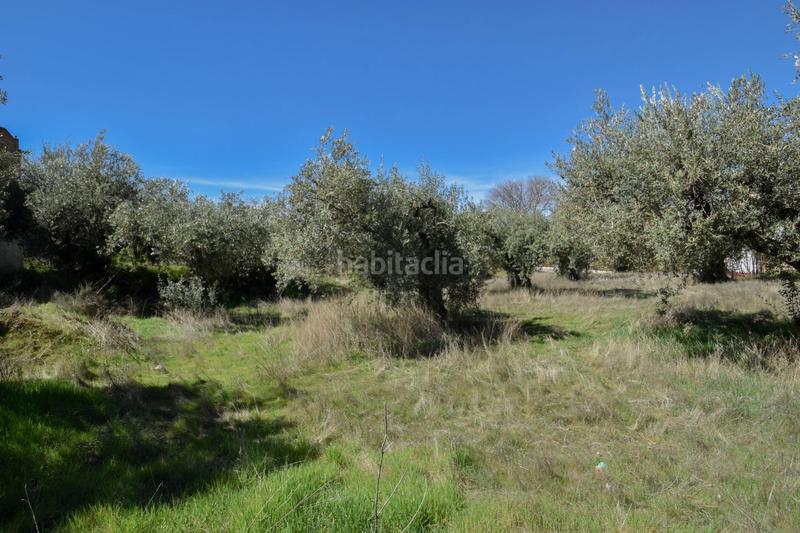 Foto 7b774854-5a85-4812-8a09-d3b048318d86. Wohngrundstück in Villa de Otura