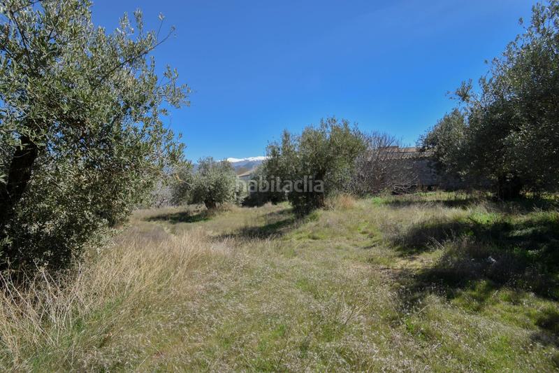 Foto a4c9b5ed-d9f2-45b6-8eef-e352968233ec. Wohngrundstück in Villa de Otura