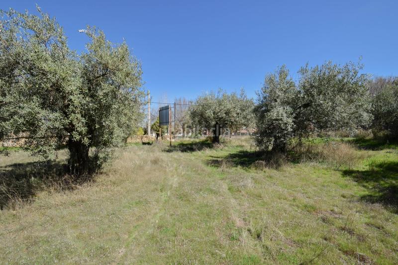 Foto b1280a0b-758c-43f0-b268-b63d541fa7be. Wohngrundstück in Villa de Otura