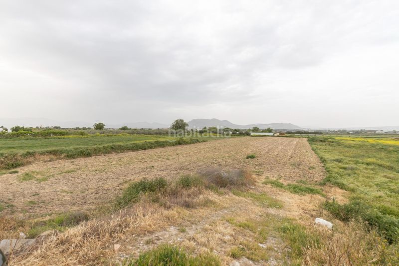 Foto 07185e45-311f-405b-9238-32d6f5a87e11. Finca rústica parcela rústica de 3.500 m2 en Santa Fe