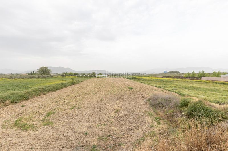 Foto 4ce52c1c-98aa-45a9-b05d-4e2e333f4564. Finca rústica parcela rústica de 3.500 m2 en Santa Fe