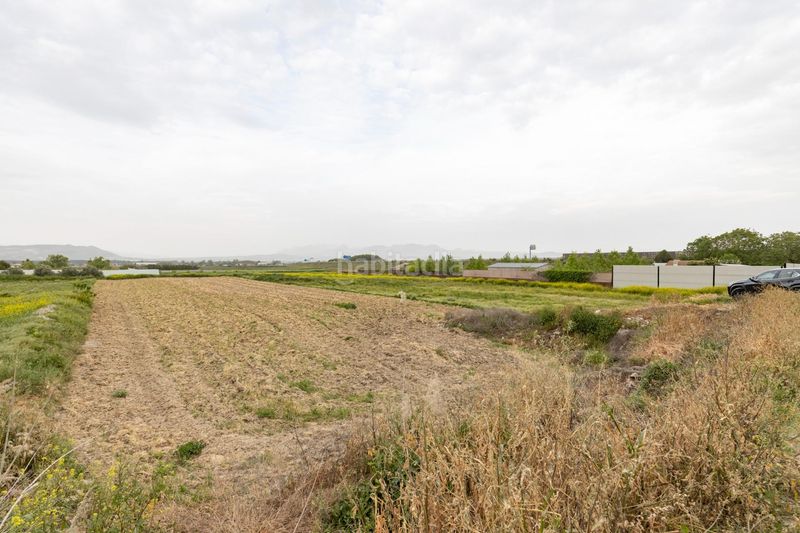 Foto ce5b6aee-57da-48a8-8c1f-252e87573f07. Finca rústica parcela rústica de 3.500 m2 en Santa Fe