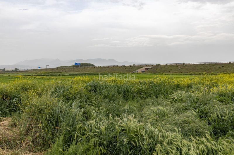 Foto df51a8d1-2f82-4aaf-9bfb-7e8e6cb88274. Finca rústica parcela rústica de 3.500 m2 en Santa Fe