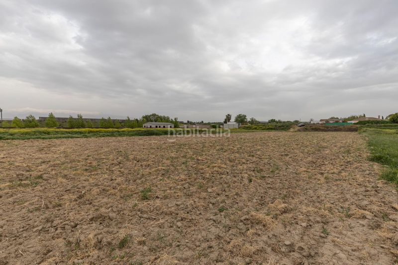 Foto eafabbfa-84d7-4870-ad8c-ded8a64ae1c0. Finca rústica parcela rústica de 3.500 m2 en Santa Fe
