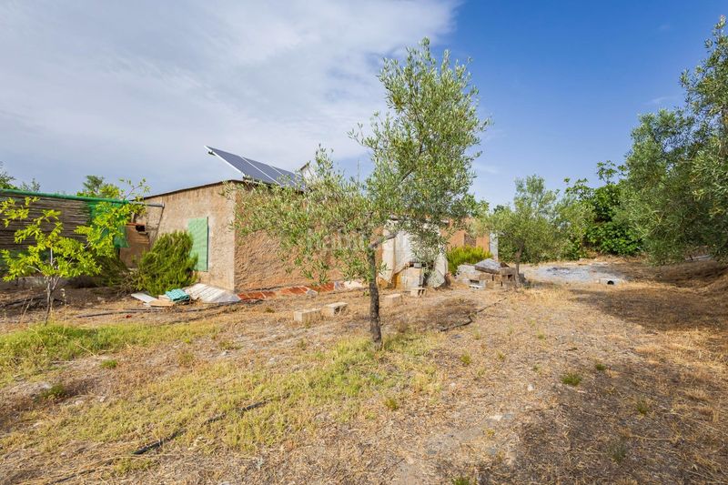 Foto 6fac254b-56b4-4c2a-90ea-4f8aab238997. Masia a Abrucena