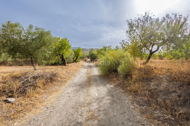 Foto cbe9f4c0-9fc8-44c0-8689-ac9748cd1c83. Masia a Abrucena