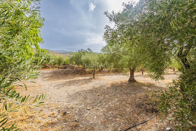 Foto ebbff350-b6e0-4848-b521-3779faf1a573. Masia a Abrucena