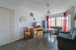Pis a TIBONIDAS
