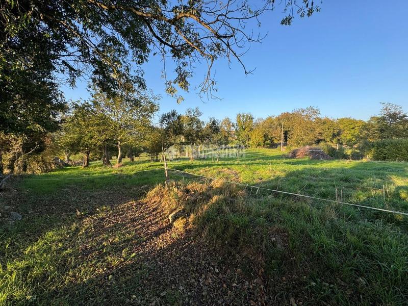 Foto e394f91a-54ad-4895-91cb-908bda1556f6. Terreny residencial a Carbayin-Lieres-Valdesoto Siero