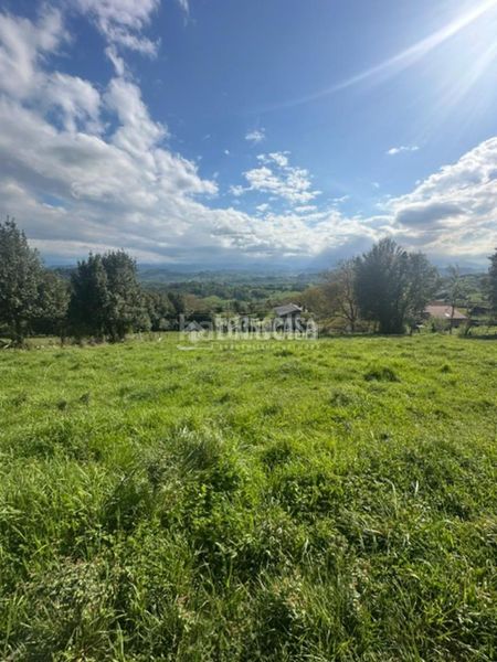 Foto 1f01d516-751a-49c4-ac46-6c78da2073c3. Terreny residencial a la pola Siero Siero