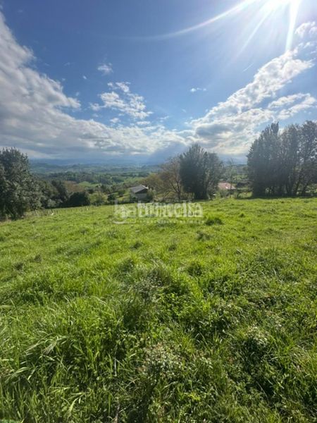 Foto 329712a4-d358-4a78-aab9-c6babde01fce. Terreny residencial a la pola Siero Siero