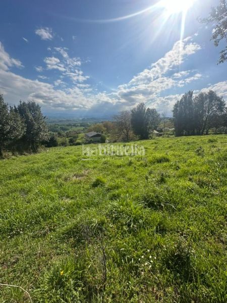 Foto 9df6cb74-4c62-4080-83c4-1607816ea0b1. Terreny residencial a la pola Siero Siero