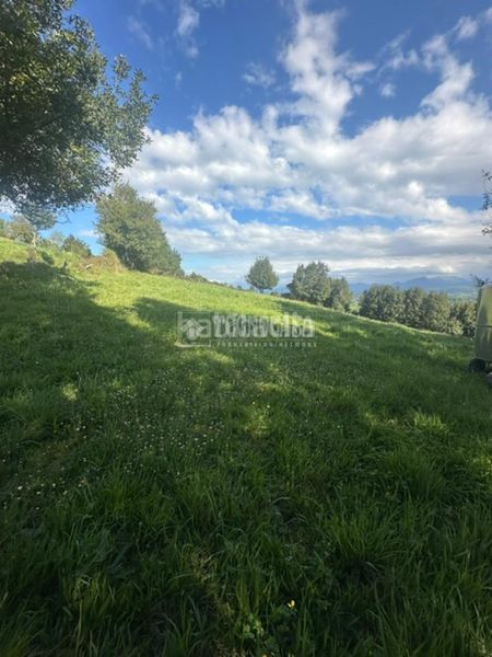Foto b099dbed-1565-42ea-9538-c93ce56180c9. Terreny residencial a la pola Siero Siero