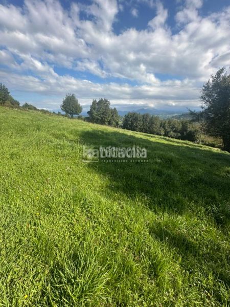 Foto ba24bf03-b4e7-4d68-afcc-46d24db18e84. Terreny residencial a la pola Siero Siero