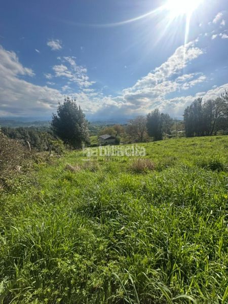Foto fc94c69c-0b0c-4112-99c3-c29a8ca7727d. Terreny residencial a la pola Siero Siero