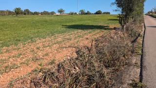Finca rstica a N/a. Finca rustica en ariany