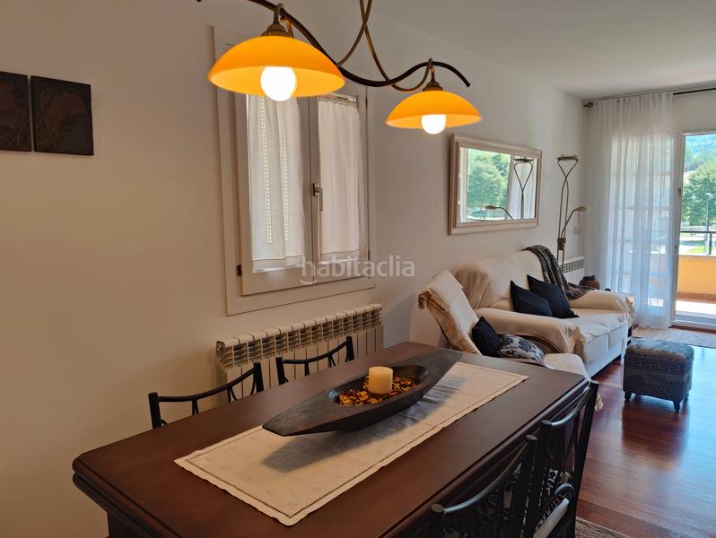 Foto 3f5b03e0-1a93-4df9-906e-b7c9b7d31cc3. Apartamento  en la plaza josep cuatrecases, en Camprodon
