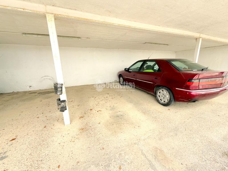 Foto b8b50b19-20d8-4d6d-ba85-9d8c40eefd95. Pis a Torrelaguna