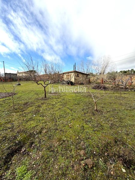 Foto 49a6311e-e517-40d5-a9ca-343d93c2bd22. Terreny residencial a Torrelaguna