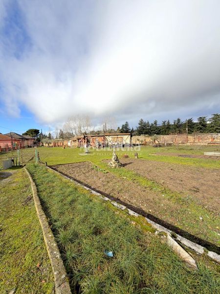 Foto bc5c6e8e-68a8-413b-8d6e-ea14ff64c903. Terreny residencial a Torrelaguna
