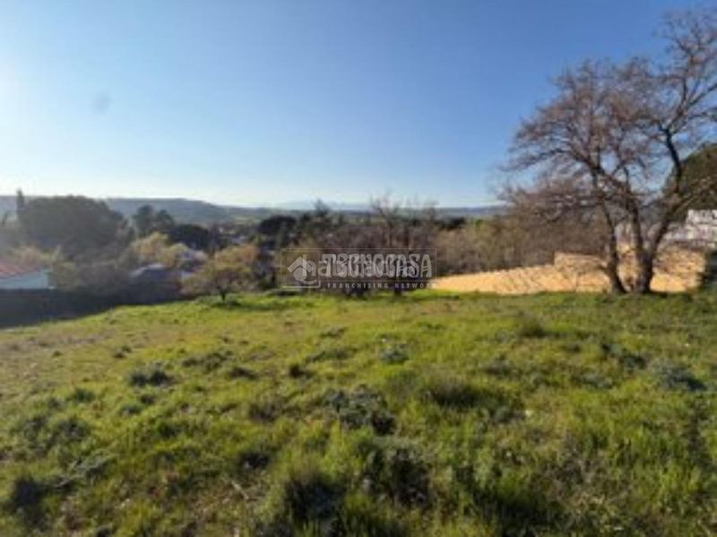 Foto 9f9332db-f28e-451a-ba49-5b767670b687. Terreny residencial a Uceda