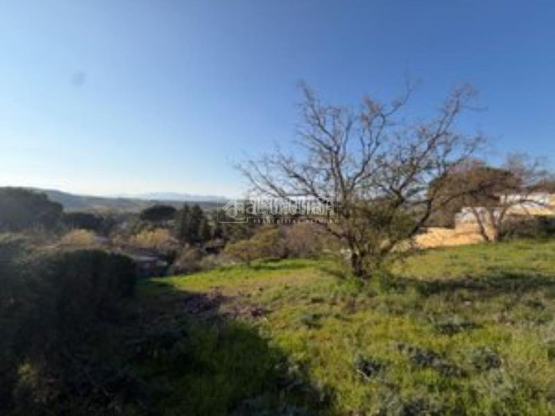 Foto c0f371e2-b390-4e15-8e11-b9f206904a40. Terreny residencial a Uceda
