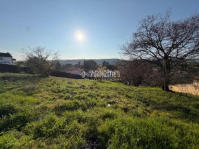 Foto c6c9c7f1-6975-4a1a-8d82-930414663f3e. Terreny residencial a Uceda