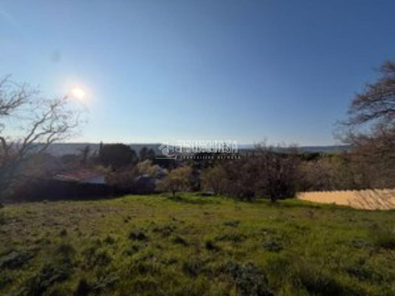 Foto faeb37b5-dd4f-4778-85df-2de90912e10a. Terreny residencial a Uceda