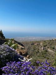 Masia a Calle pino gordo 22. Finca rústica legalizada en venta en fasnia, tenerife –  ¡tu ret