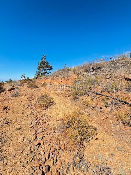 Foto 2a34ac73-921d-4376-8dac-d4fc59d39786. Fondo rustico in n/a in Arico