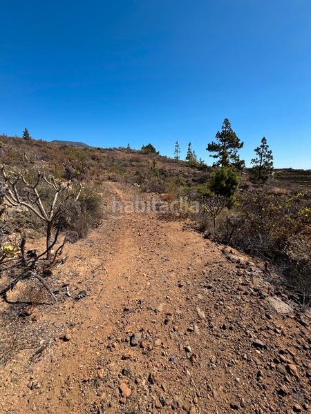 Foto 2d84f6ec-a4a7-40e1-bf75-f5dcfa6ee40b. Fondo rustico in n/a in Arico