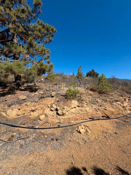 Foto 3ff0de73-74d0-403e-8596-a312f23f1d94. Fondo rustico in n/a in Arico