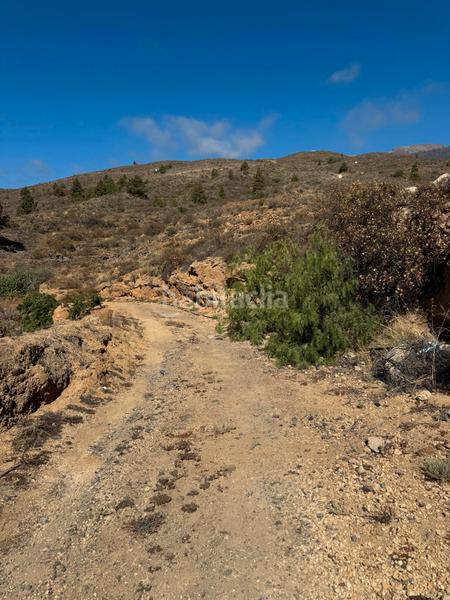 Foto 43bbc5b0-62a0-478a-83aa-b8444d94bdbc. Fondo rustico in n/a in Arico