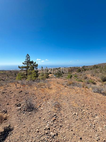 Foto 534e1812-91e3-46a0-96a4-acb6f6fe29b4. Fondo rustico in n/a in Arico