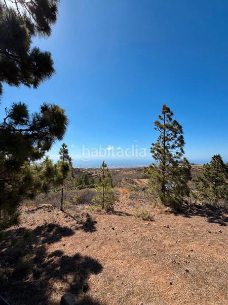 Foto 53af3066-6e16-4829-92a5-32a4392f8e32. Fondo rustico in n/a in Arico