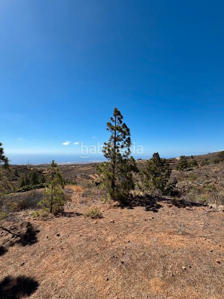 Foto 5bee80be-e0a4-4269-8a21-2637e5034197. Fondo rustico in n/a in Arico