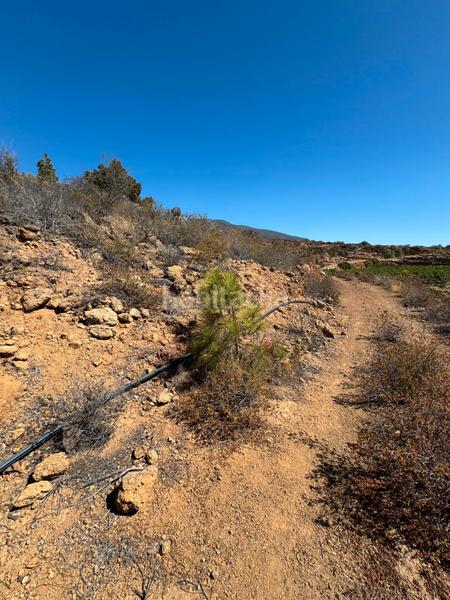 Foto 61802bea-334d-4bb2-9990-9c506d121799. Fondo rustico in n/a in Arico