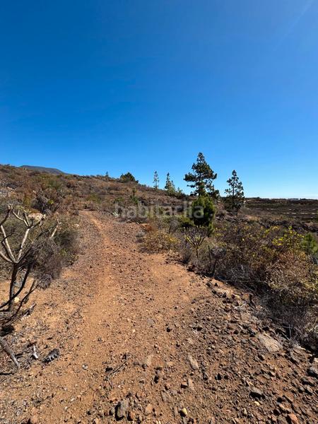 Foto 90ffb6f5-e02c-43f7-85c8-66499c4a3800. Fondo rustico in n/a in Arico